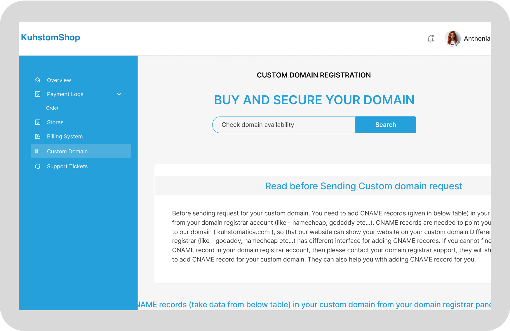 Custom Domain Setup Illustration